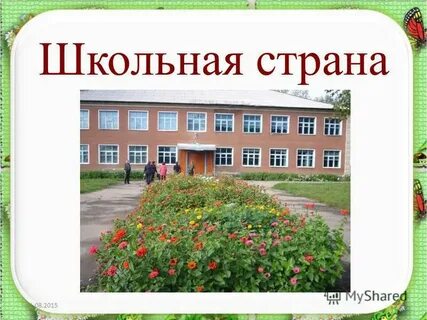 Нашла школьная страна