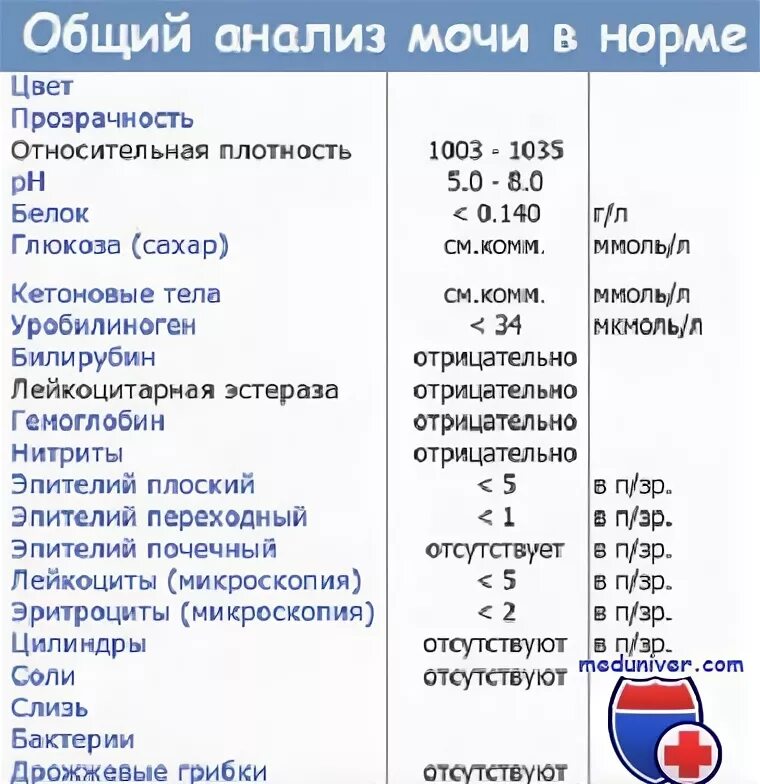 Биохимия крови в норме