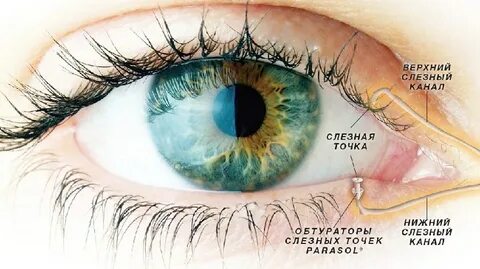 Серые глаза на белом фоне