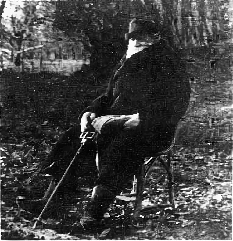 Толстой как человек и как писатель. Фотографии Толстого сделанные Чертковым.