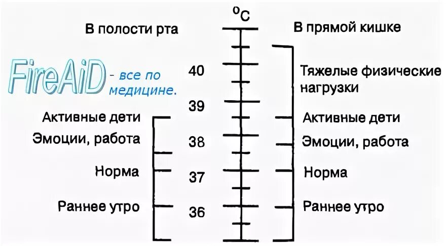 Во рту температура без. Таблица нормы температуры тела. Норма температуры в прямой Кишк. Нормальные показатели температуры тела взрослого человека. Нормальная температура тела в прямой кишке.