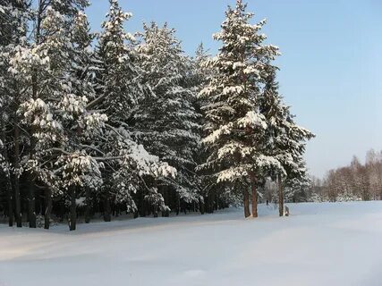 Нижегородская область зима