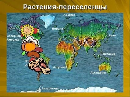 Растения путешественники