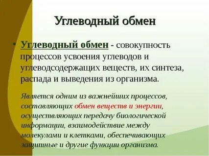 Роль углеводов в метаболизме