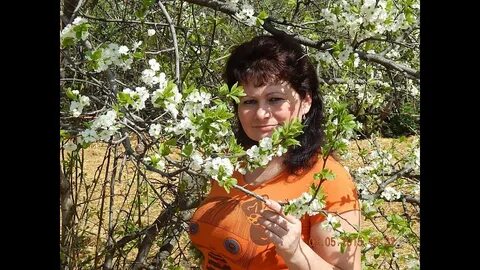 Песня цветет черемуха а рядом василек