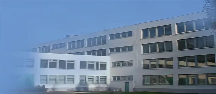 выпускники школы 10 балаково. средняя школа 7 щекино. учителя школы 1 г павлово нижегородской области. новогродовская школа 10. школа 7 кобрин.