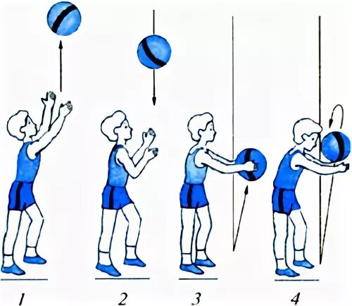 Бросание и ловля. Броски мяча вверх и ловля его двумя руками.. Подбрасывание мяча вверх и ловля его. Подбрасывание мяча вверх двумя руками. Подбрасывание и ловля мяча одной рукой.
