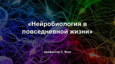 Нейробиология это