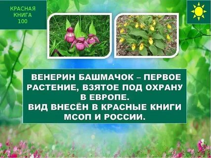 Охрана под растение