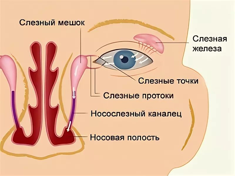 Как делать массаж слезного канала