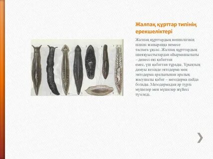 5228 үшін жыныстық қорап