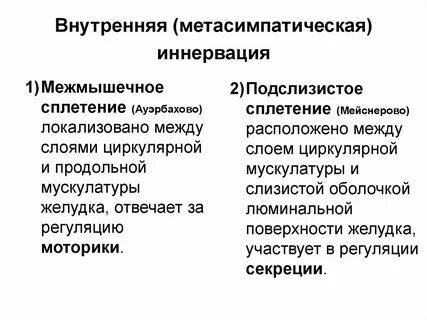 Что такое иннервация