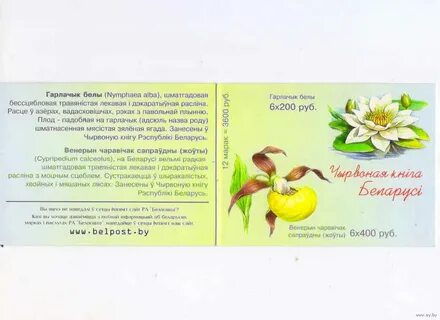 Кувшинка на белорусском языке перевод