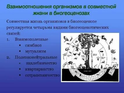Взаимодействие организма с природой