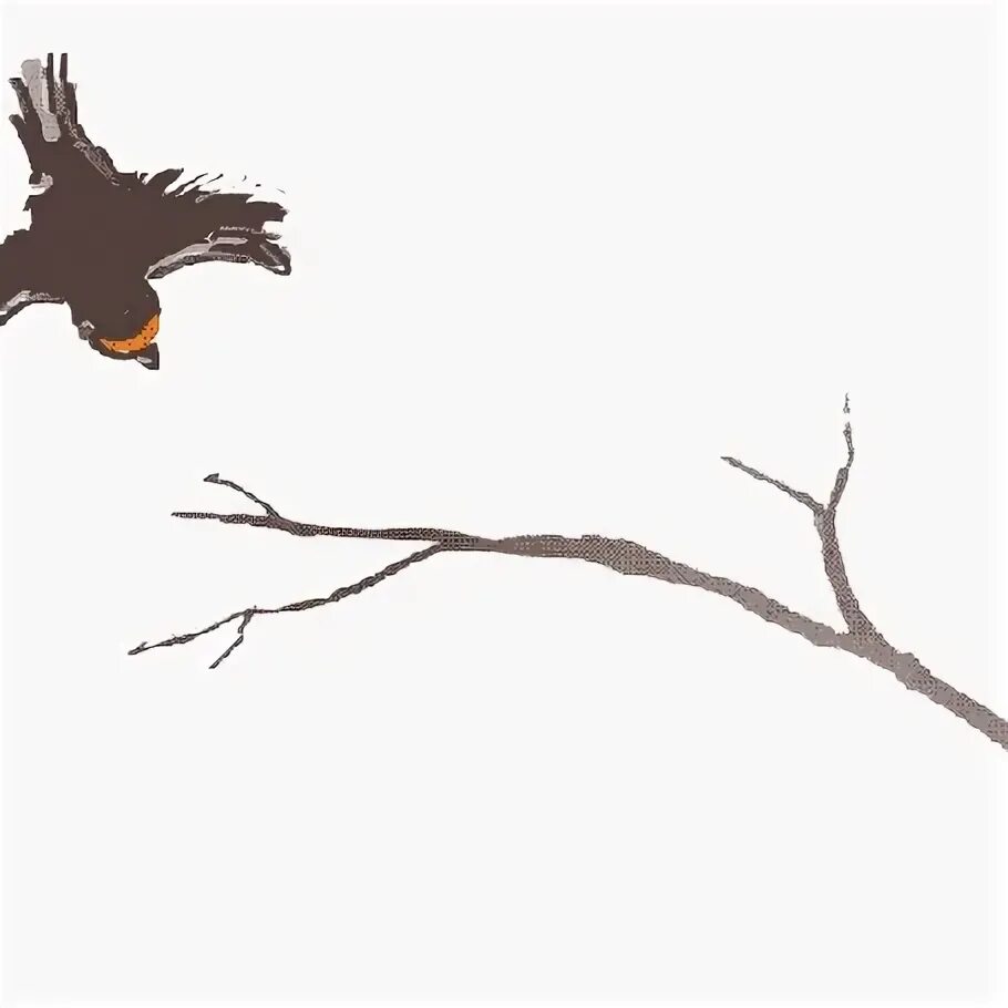 И полетели ветки. Анимации птицы на ветвях деревьев. Птица гифка. Птицы gif. Ветка дерева анимация.