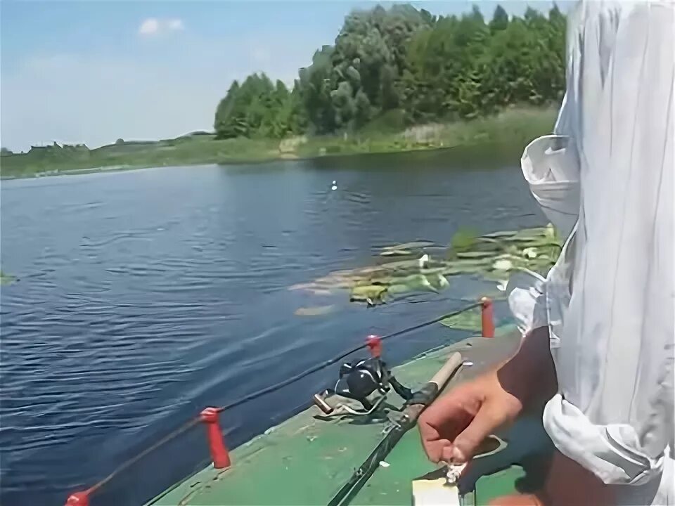 Кружок щука. Кружок щука