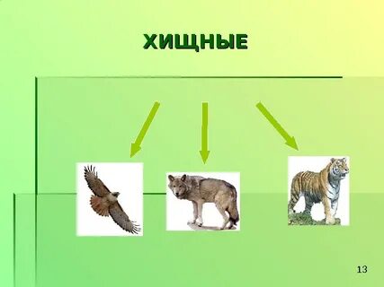 Хищнический предложение
