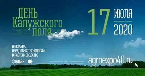 Поли 2020