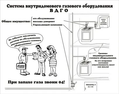 Вдго вкго организация