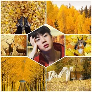BTS aesthetic fall wallpaper image by Maddy Autumn aesthetic, Fall.