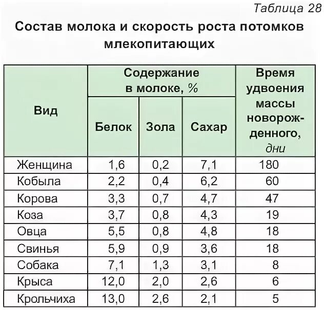 Сколько ягненок надо молока. Химический состав молока. Химический состав овечьего молока. Количество молока у овцы. Состав молока таблица.