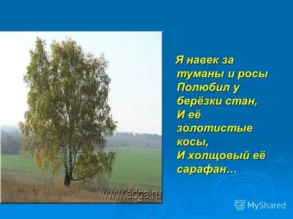 Я навек за туманы и росы полюбил
