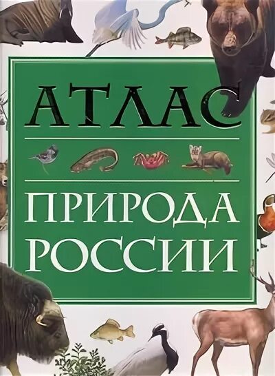атлас животных. атлас природы животные. животные азии. иллюстрированный атлас. материки с животными.