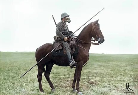 Доспехи кавалериста сканворд