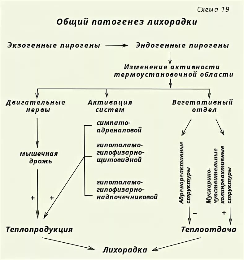патогенез тромбообразования схема. этиология острого панкреонекроза. патогенез окс схема. ревматический артрит этиология. механизм развития тромбоза.
