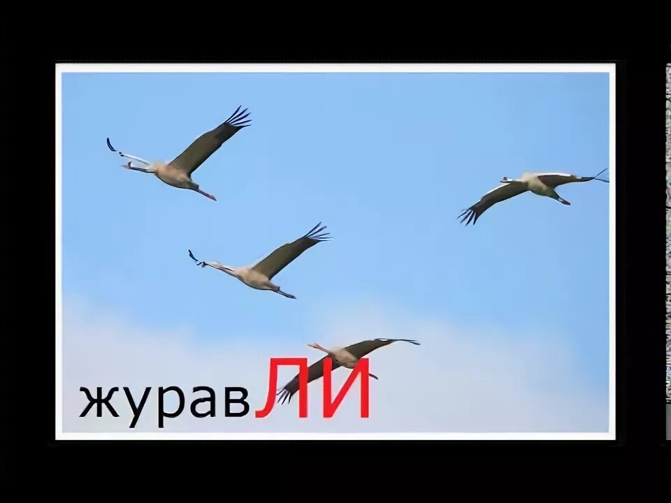Ля ля лю ля. Жору съели журавли слова. Песня журавли на французском на русском. Песня журавли на французском на русском. Песня журавли на французском на русском.