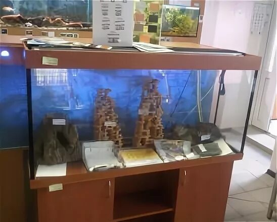 Магазин аквариумов в воронеже. Аквариум juwel 250. Оборудование для аквариума. Магазин аквариумных товаров воронеж. Аквариум трапеция 250л.