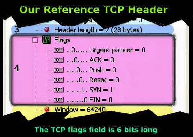 Tcp buffer. Tcp flags. флаги tcp. работа tcp флагов. коды tcp flag.