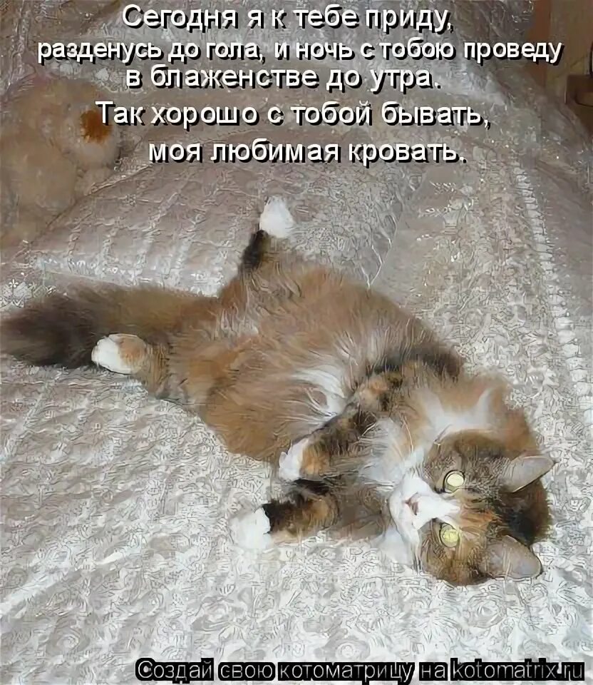 женщина в окне. девушка в кафе у окна. я сегодня прийти вечером. зима за окном. женщина в море на закате красный.