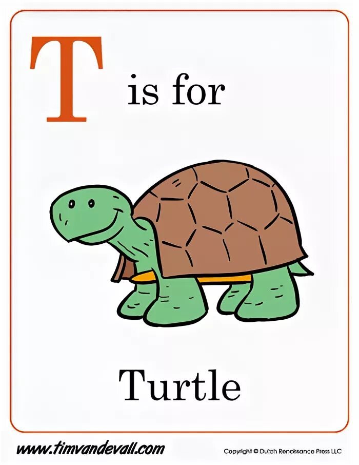 T turtle. Буквы английского алфавита т. Turtle Flashcard for Kids. Letter t Flashcards for Kids. T Flashcards for Kids.