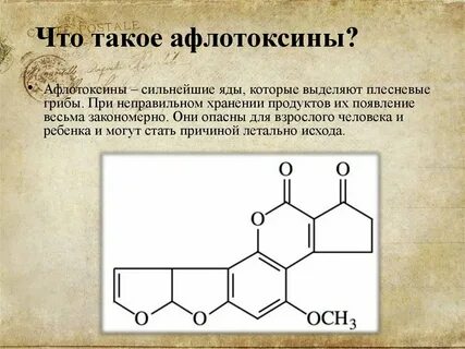 Афлатоксин в1
