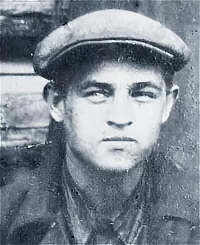 Род михайловичей