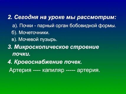 Функции парных органов