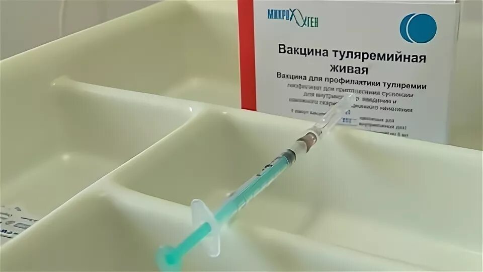 Туляремийная Живая сухая накожная вакцина. Вакцинация против туляремии. Туляремия вакцина. Вакцина туляремийная Живая микробиология.