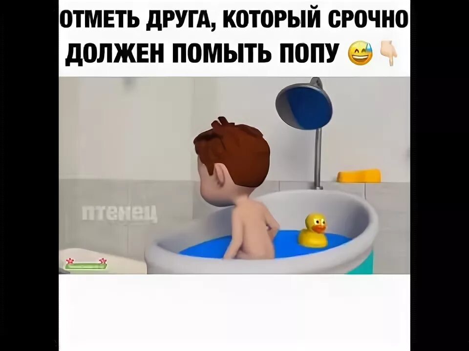 Какая моют моет песня