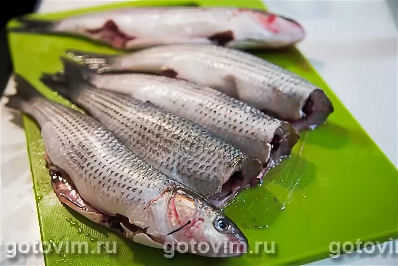 Шкара из кефали. Кефаль соленая. Кефаль рецепт с фото пошагово. Кефаль. Филе кефали в духовке.