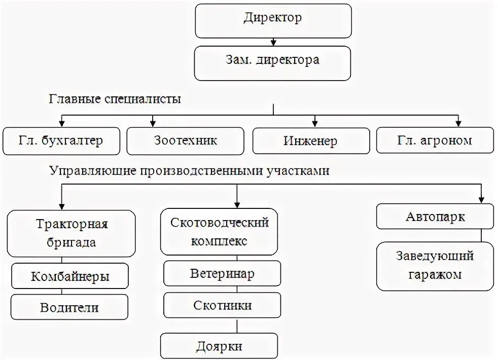 Дипломная организация и совершенствование