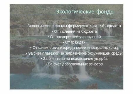 Экологические фонды