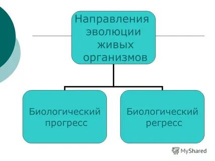 Прогрессивные направления
