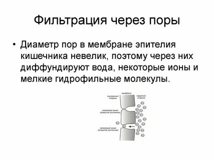 Фильтрация через