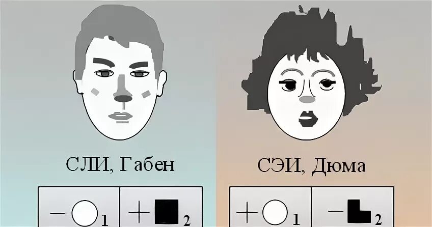 Сенсорно этический. Дюма СЭИ. Сенсорно-логический интроверт. Габен психотип. Габен модель а.