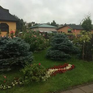 Милава великий новгород