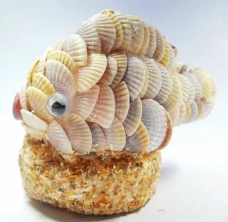 Ракушки рыбы