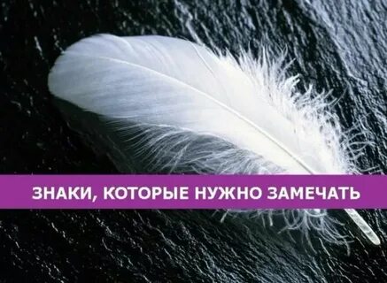 Нужно заметить что она
