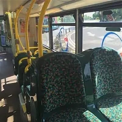 Сколько автобусов 50