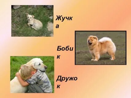 Зооним это